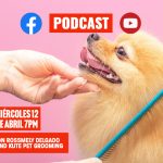 Podcast con Kool and Kute